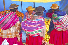 Bolivia Market